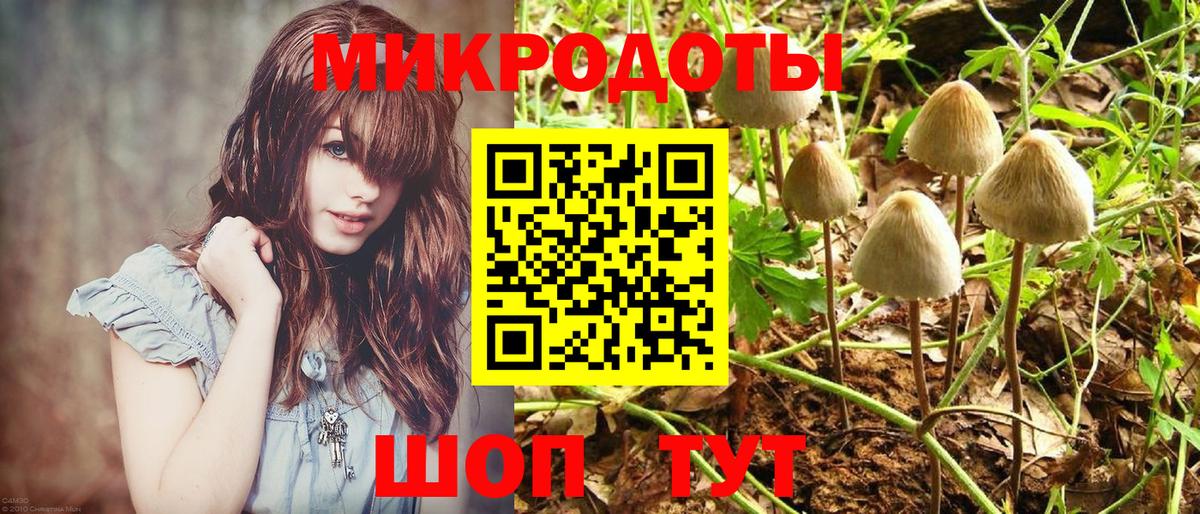 цена   Галлюциногенные грибы Psilocybine cubensis  Вход с VPN  Симферополь  Псилоцибиновые грибы Magic Shrooms 