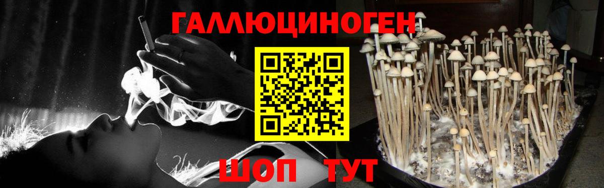Псилоцибиновые грибы Cubensis Симферополь